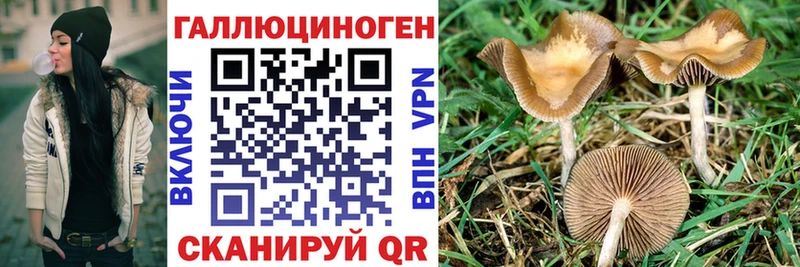 OMG как войти купить наркоту Боготол Псилоцибиновые грибы Psilocybe